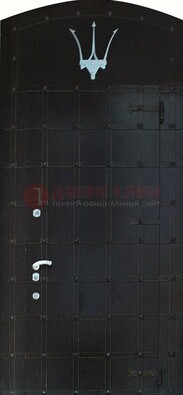 Металлическая арочная дверь ДА-22 высокого качества в Истре