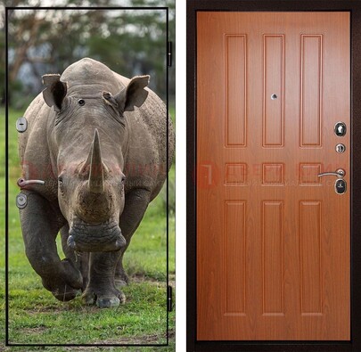 Металлическая дверь с фотопечатью носорога ДФ-31 в Мурино