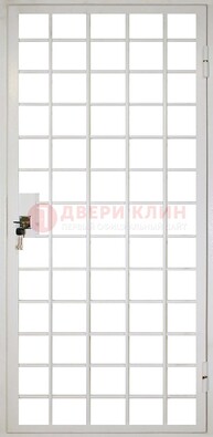 Белая металлическая решетчатая дверь ДР-2 в Мурино