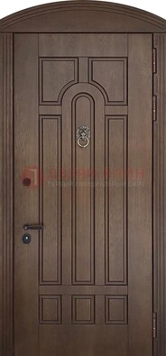 Коричневая стальная дверь с виноритом в форме арки ДВТ-237 в Мурино